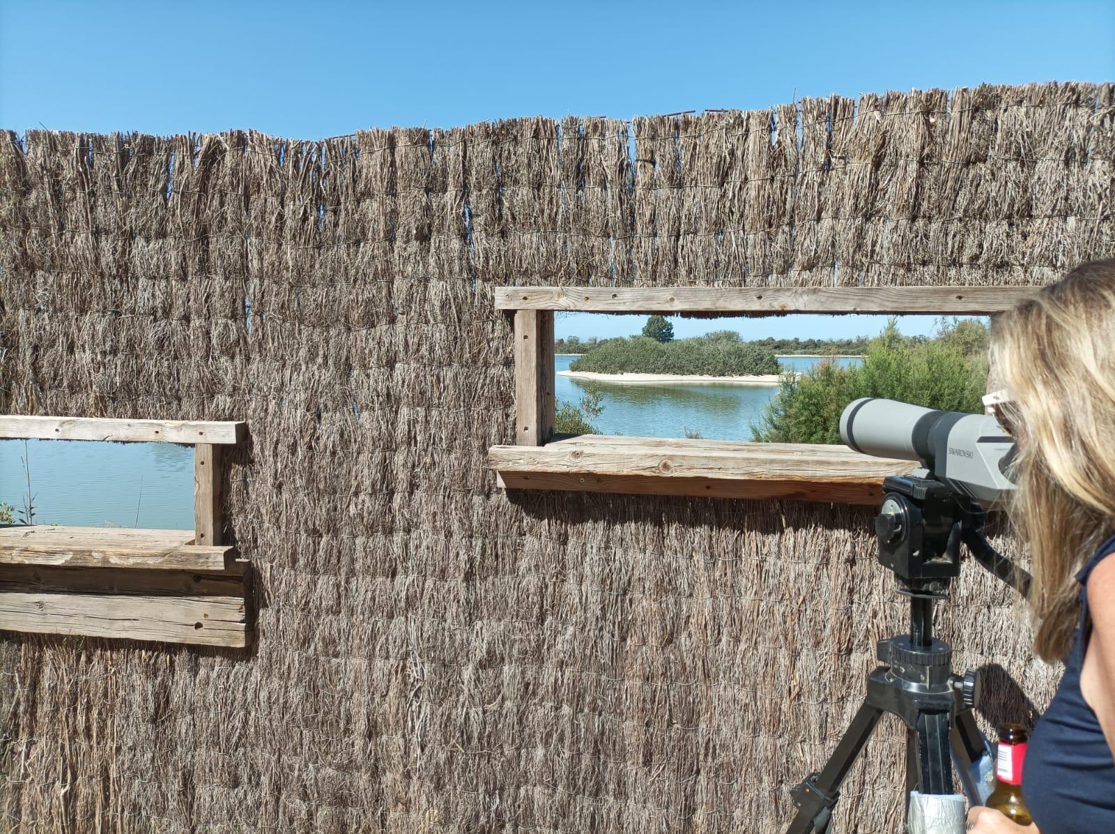 Actividad 4 - Enjoy Doñana